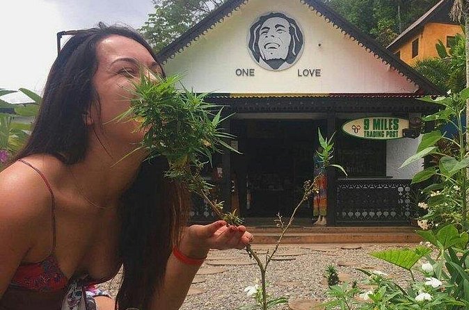 Private Bob Marley's Resting place, Dunn's River and shopping - Who Will Enjoy This Tour Most?