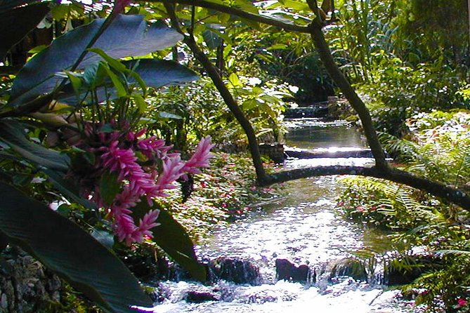 Private Combo Tour From Ocho Rios To Blue Hole & Konoko Falls - A private start through Ocho Rios