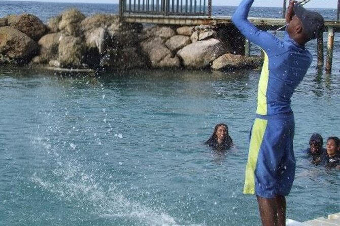 Private Dolphin Cove Adventure - Who will enjoy this experience most?