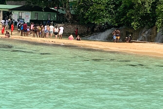 Private Dunn's River and Bamboo Rafting Combo from Ocho Rios - What the private format adds