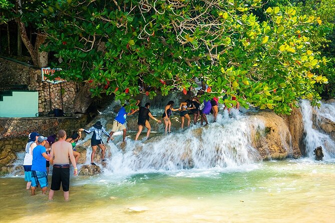 Private Dunn's River Falls Adventure from Montego Bay - A private ride from Montego Bay changes the day