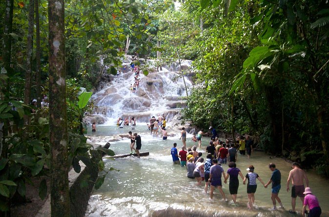 Private Dunn's River Falls Adventure from Montego Bay - What the two-hour falls visit is like