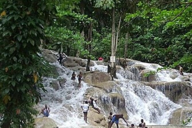 Private Dunn's River Falls and Tubing Tour From Ocho Rios - The right fit for families and active groups