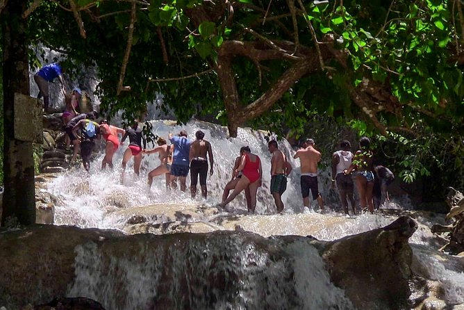 Private Dunn's River Falls from Ocho Rios - A 10:00 am pickup from Ocho Rios