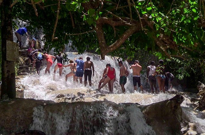Private Dunn's River Falls from Ocho Rios - Who will enjoy this experience most