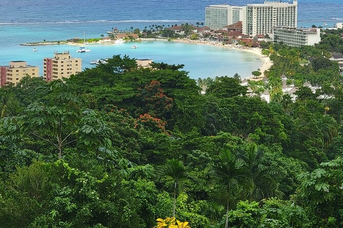 Private Dunn's River Falls, Ocho Rios Sightseeing and shopping - Shopping with locals, plus the duty-free option