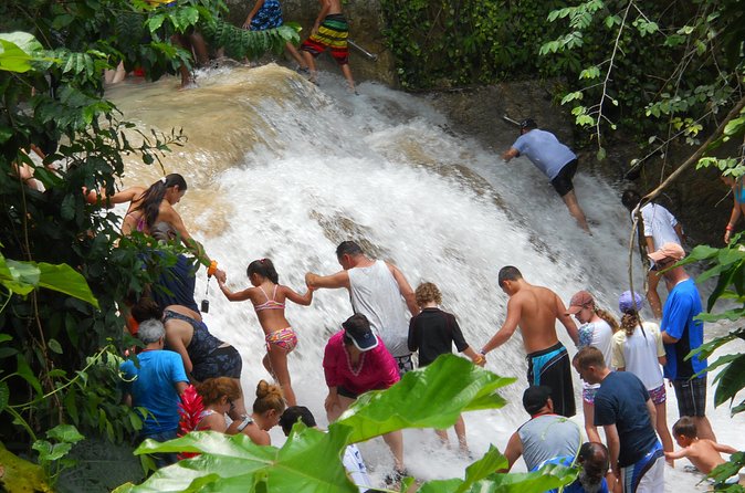 Private Dunns River Falls and Beach Break Excursion from Falmouth - Should you book this Dunn’s River Falls excursion?