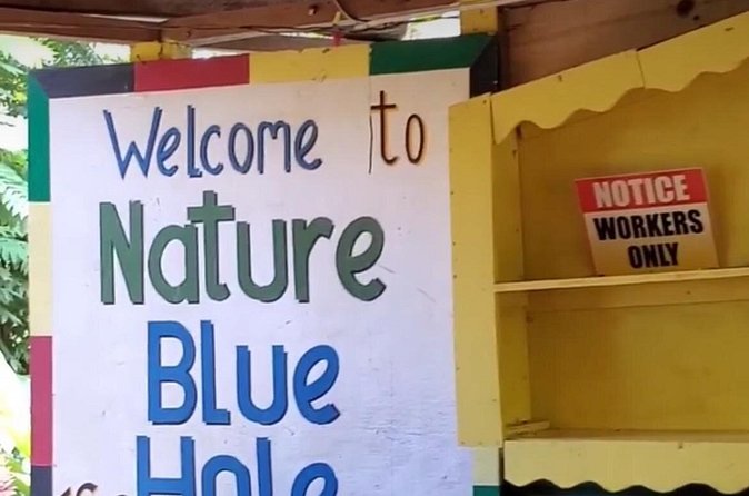 Private Dunns River Falls and Blue Hole from Montego Bay Tour - Timing, comfort, and fitness