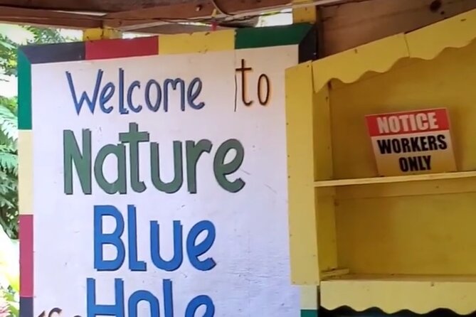 Private Dunns River Falls and Blue Hole from Montego Bay Tour - Who will enjoy this tour most
