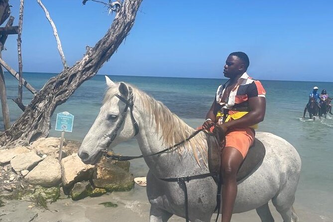 Private Dunns River Falls and Horse Back Riding - Key Things to Know Before You Book