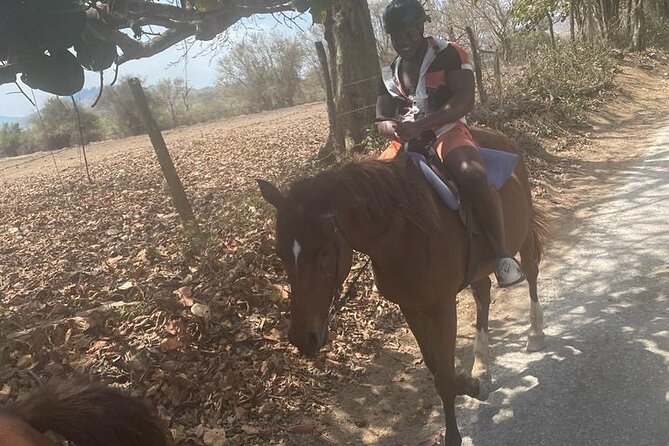 Private Dunns River Falls and Horse Back Riding - Why This Pairing Works in Jamaica
