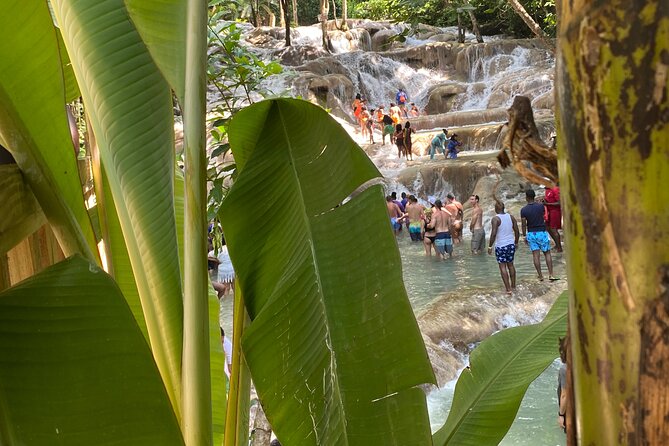 Private Dunns River Falls and Horse Back Riding - The Private Vehicle and Pickup Details