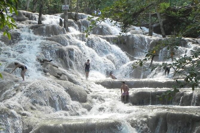 Private Dunns River Falls and Horse Back Riding - What the Guides Add to the Day