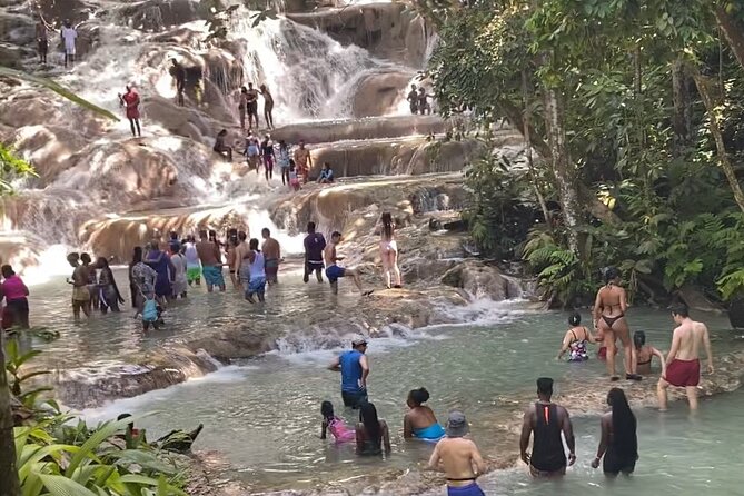 Private Dunns River Falls and Horse Back Riding - Is $110 a Good Value?