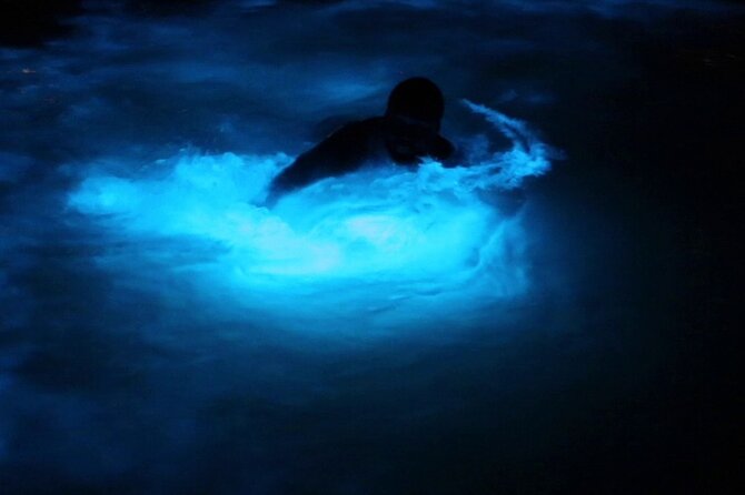 Private Guided Night Tour of Luminous Lagoon in Montego Bay - Key points at a glance