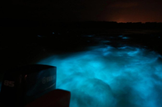 Private Guided Night Tour of Luminous Lagoon in Montego Bay - Who will enjoy this Montego Bay night tour?