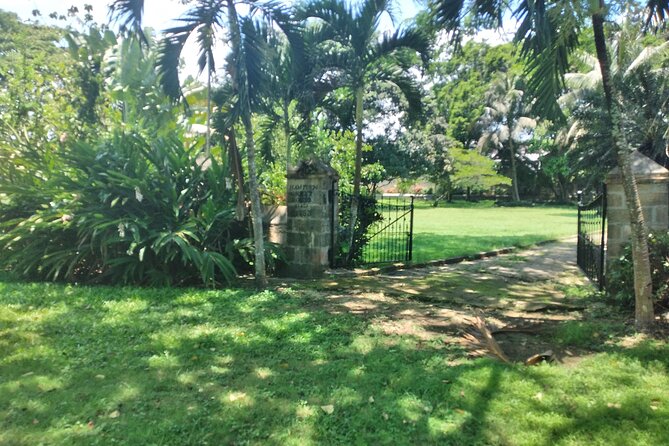 Private Hampden Estate Rum Tour from Montego Bay or Falmouth - What the strong rating tells you, and what it does not