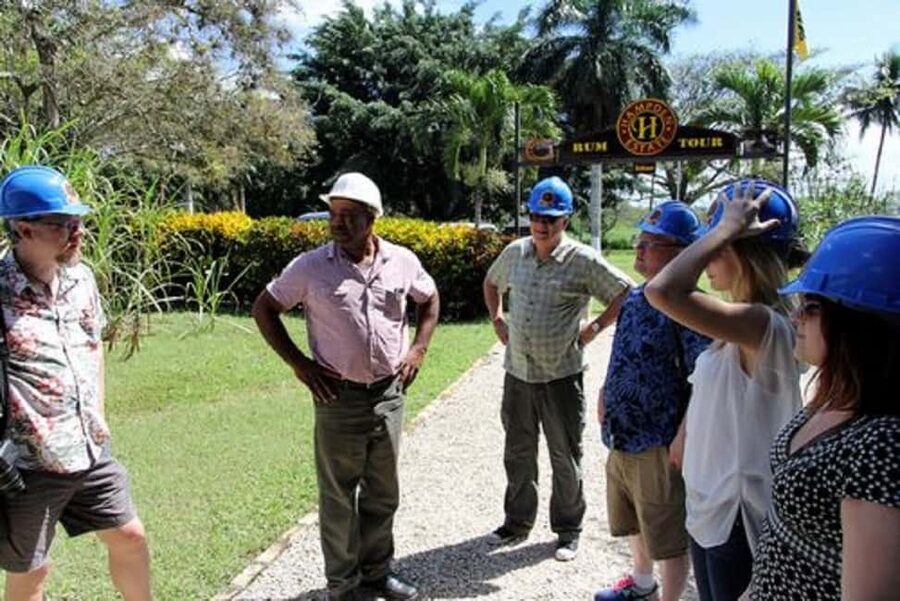 Private Hampden Estate Rum Trip from Montego Bay - Why Hampden Estate Is Worth the Drive