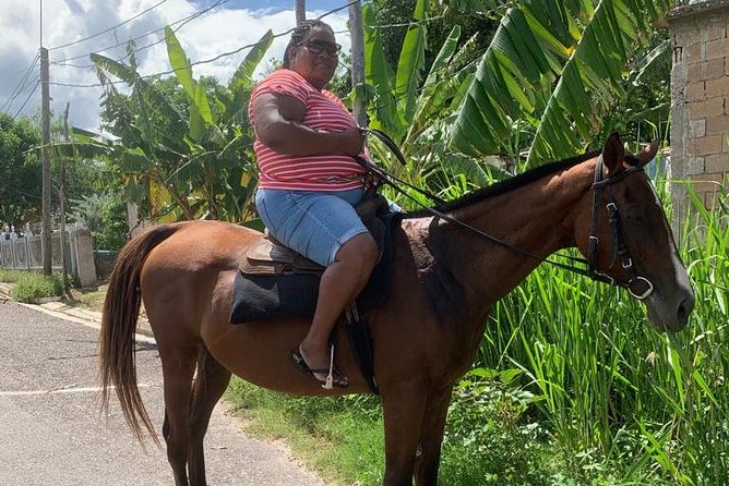 Private Horseback Riding from Ocho Rios with Guide - A Short Ride With a Memorable Finish
