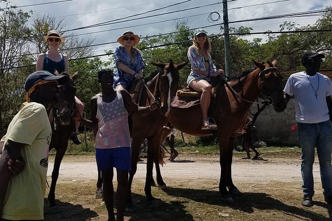Private Horseback Riding from Ocho Rios with Guide - The Horseback Swim at the Beach