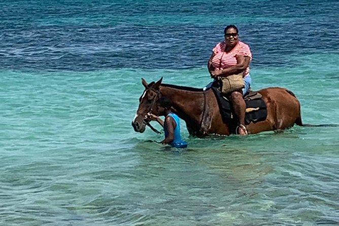 Private Horseback Riding from Ocho Rios with Guide - Choosing a Horse and Meeting the Guide