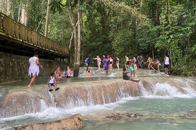 Private Horseback Riding, Swimming and Dunn's River Falls Tour - Choosing your horse and reaching the Caribbean Sea