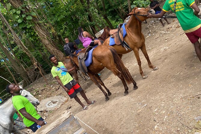 Private Horseback Riding with Blue Hole River Tour in Montego Bay - Is $80 a fair price?