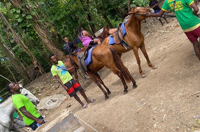 Private Horseback Riding with Blue Hole River Tour in Montego Bay - Who will enjoy this private combination