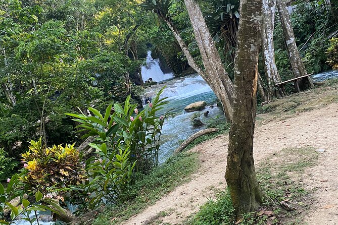 Private Horseback Riding with Blue Hole River Tour in Montego Bay - My take on the guides and service