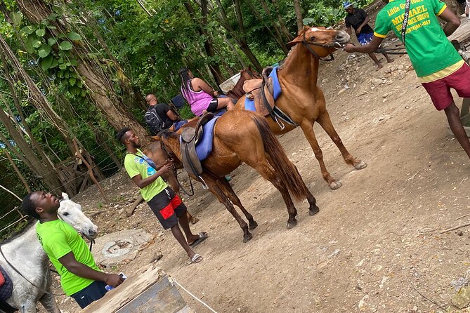 Private Horseback Riding with Blue Hole River Tour in Montego Bay - Making the most of the Blue Hole River stop