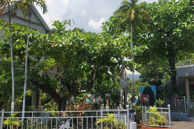 Private Kingston and Bob Marley Museum Tour from Falmouth - Fern Gully turns the road into part of the tour