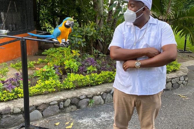 Private Konoko Falls and Blue Hole Combo Tour from Ocho Rios - Leaving Ocho Rios in an air-conditioned van