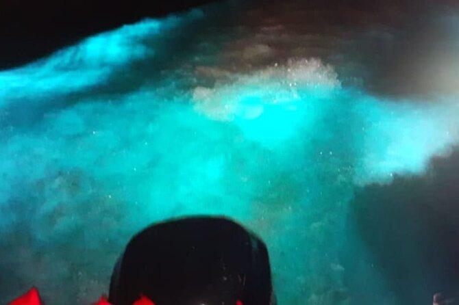 Private Luminous Blue Lagoon Night Tour in Falmouth - What the private transfer adds