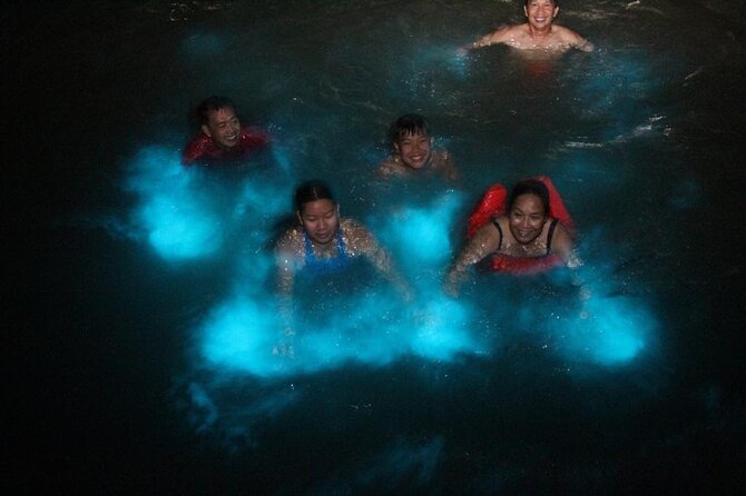Private Luminous Blue Lagoon Night Tour in Falmouth - How the $90 price works for different groups