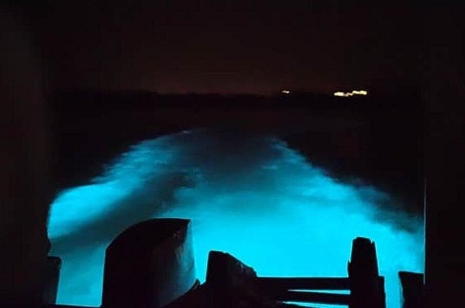 Private Luminous Blue Lagoon Night Tour in Falmouth - What the service reports tell me