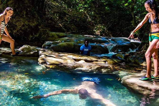 Private Mayfield Falls Waterfalls Tour [ Transportation ] - Why Mayfield Falls makes a good half-day escape