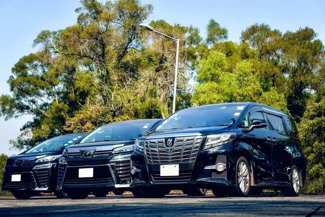 Private Montego Bay Airport Transfer (Select Hotel Option) - Key points to know before booking