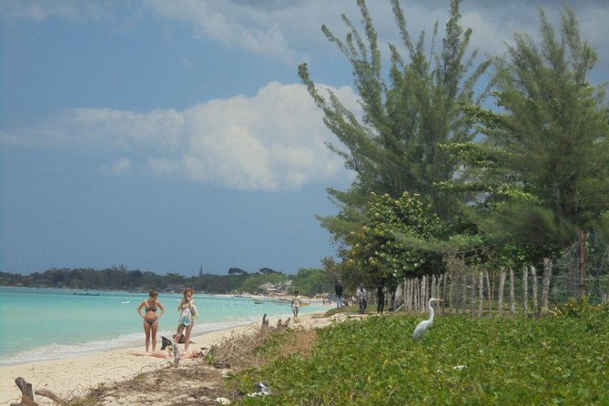 Private Montego Bay Airport Transfer to Negril - Is $42.50 per person good value?