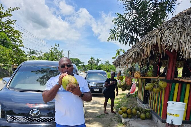 Private Montego Bay Airport Transfer to Negril/Westmoreland Hotel - Leaving Montego Bay Airport with less hassle