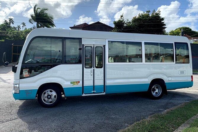 Private Montego Bay Airport Transfer to Ocho Rios Hotels - Montego Bay Airport to Ocho Rios, without the shuttle shuffle