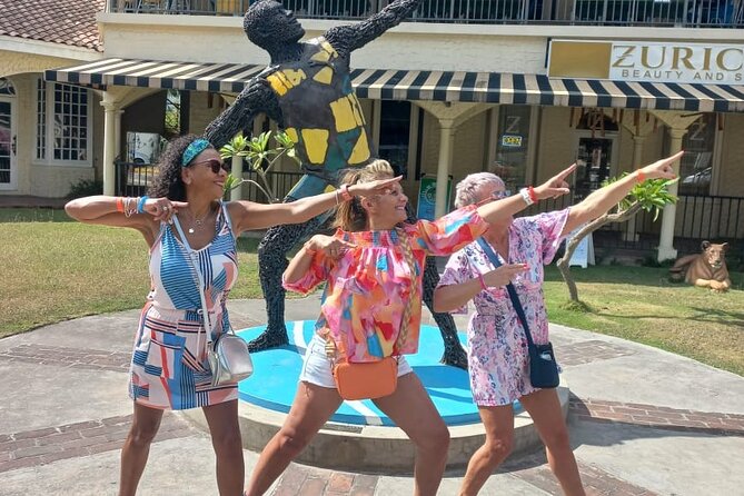 Private Montego Bay Airport Transfer to Riu Palace Aquarelle - Photo stops, shopping, and lunch by request