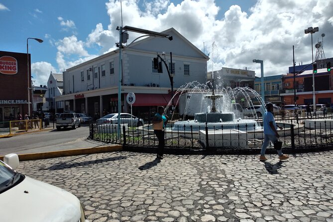Private Montego Bay City Highlights Tour - Who should book this private outing