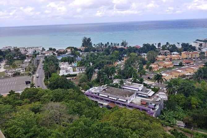 Private Montego Bay Highlights Tour - Key points at a glance
