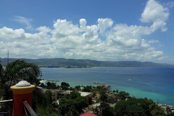Private Montego Bay Highlights Tour - Transport, timing, and comfort