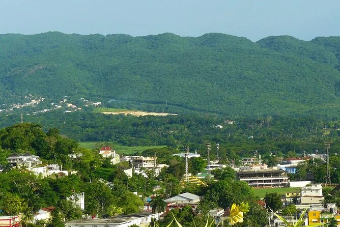 Private Montego Bay Highlights Tour with Pickup Included - The crafts market: souvenirs with room for conversation