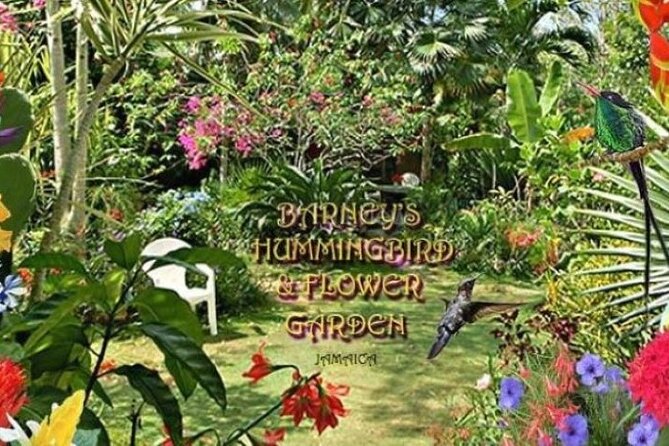 Private Negril Highlights Tour - Barney’s Garden: A Quiet Hour with Plants and Hummingbirds