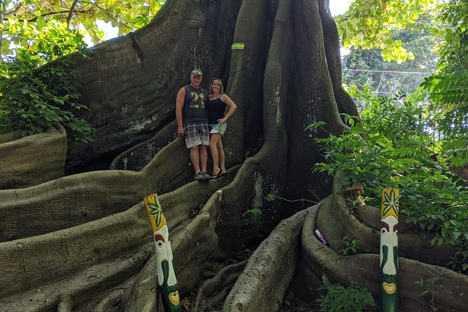 Private Ocho Rios highlight tour - Is $80 per person good value?