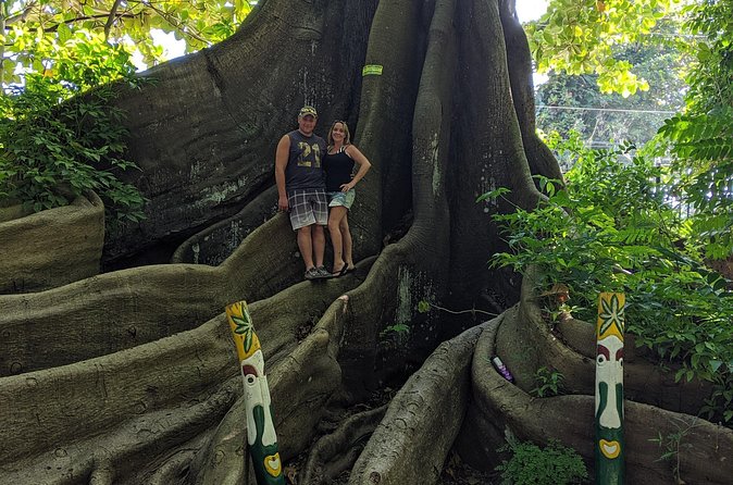 Private Ocho Rios highlight tour - Who will enjoy this Ocho Rios tour most?