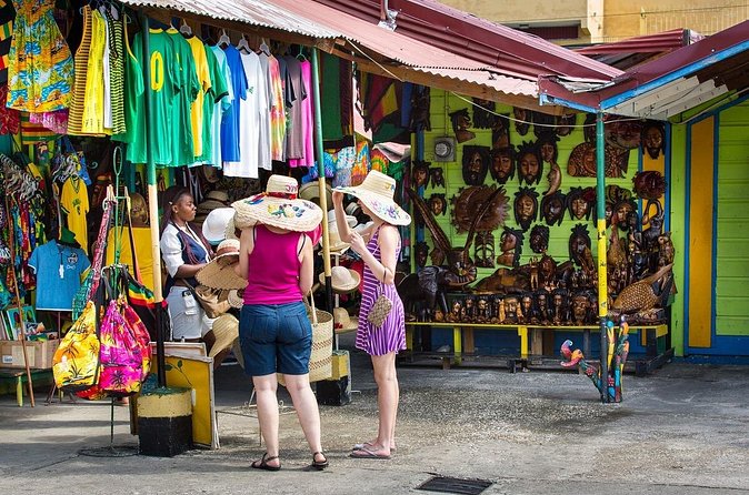 Private Ocho Rios Highlights Tour with Pickup - The private format and what it changes