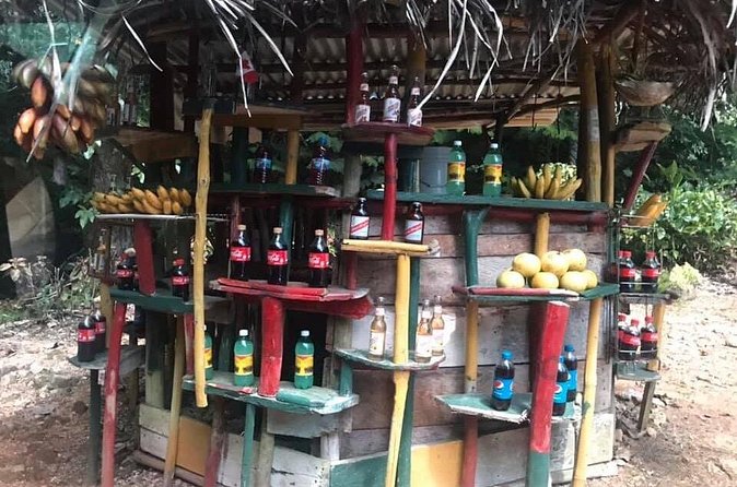 Private Ocho Rios Highlights Tour with Pickup - Guide quality and the importance of communication